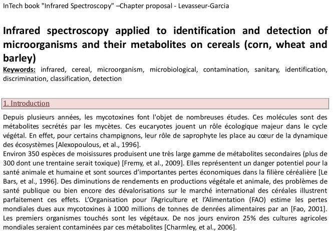 English document translated from French